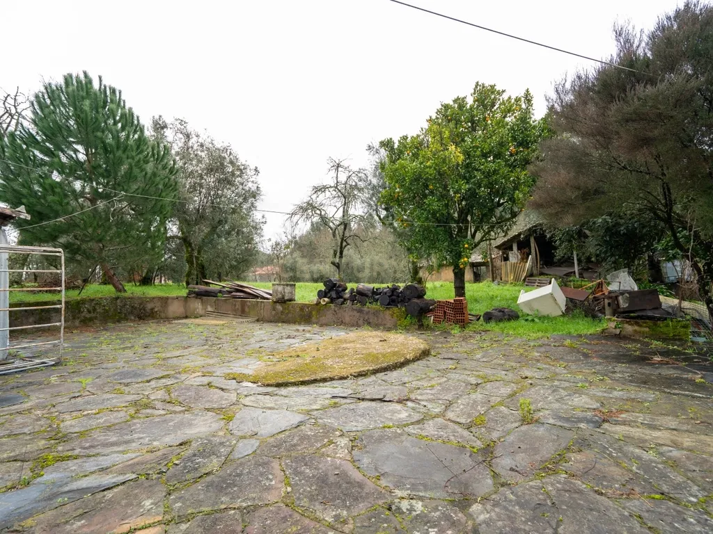 Quinta T5 em Poiares, Vila Nova de Poiares - Oportunidade Única - Image 20