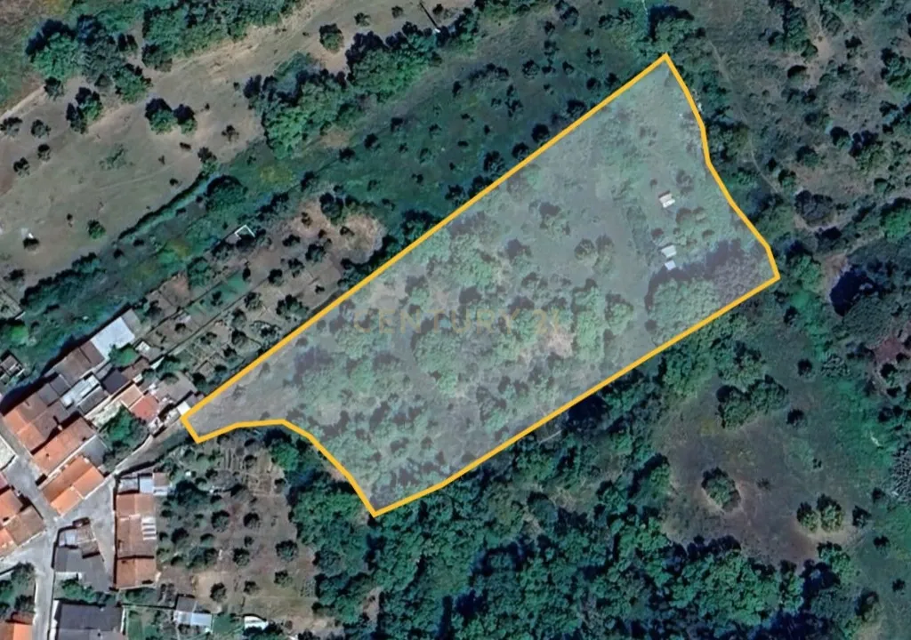 Terreno de 8280m² com cultura Arvense variada em Abrantes - Image 2