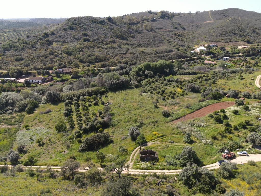 Oportunidade Única – Quinta com Potencial e Ribeira Natural - Image 5