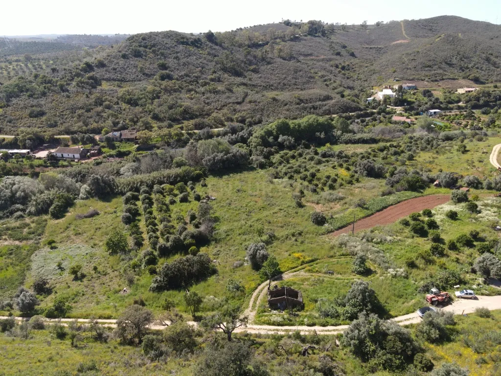 Oportunidade Única – Quinta com Potencial e Ribeira Natural - Image 5