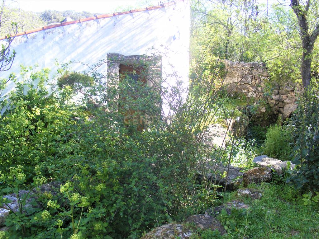 Quinta Típica Alentejana, Licença de Turismo Rural, Arrendamento, Arraiolos - Image 25