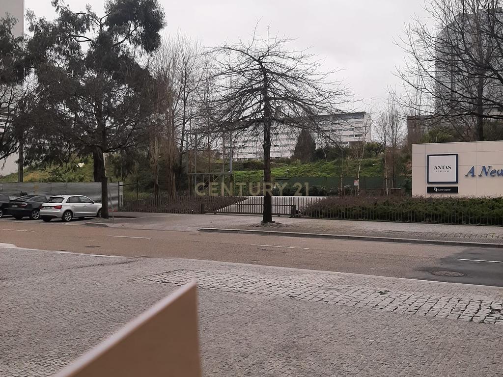 Arrecadação para Arrendamento, Antas, Porto - Image 12