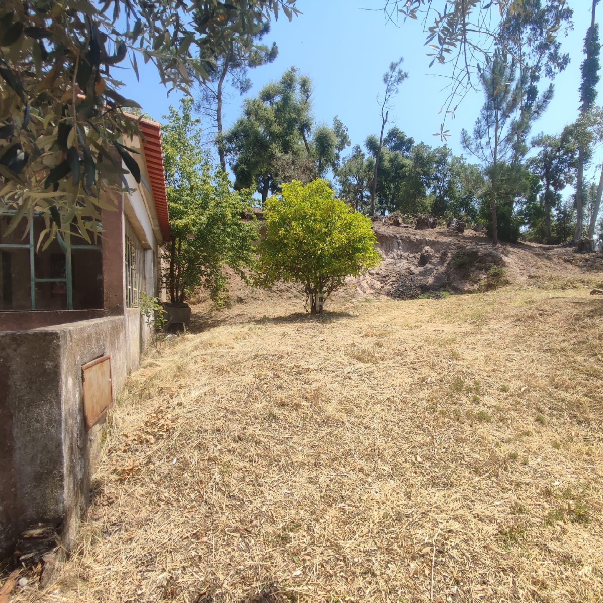 Fotografia 5 de Moradia com terreno em Serra de Baixo, Sabacheira em Tomar