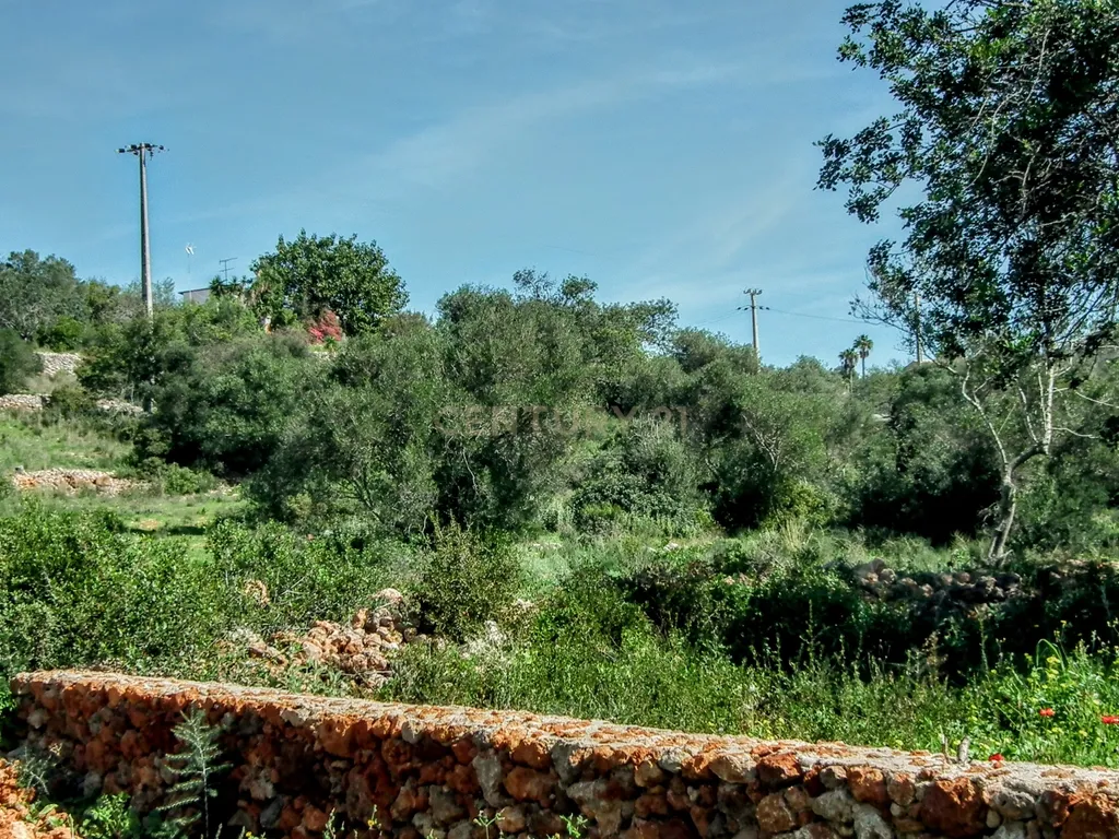 Terreno Rústico em Faro com Vista Panorâmica e Acesso Fácil - Image 15