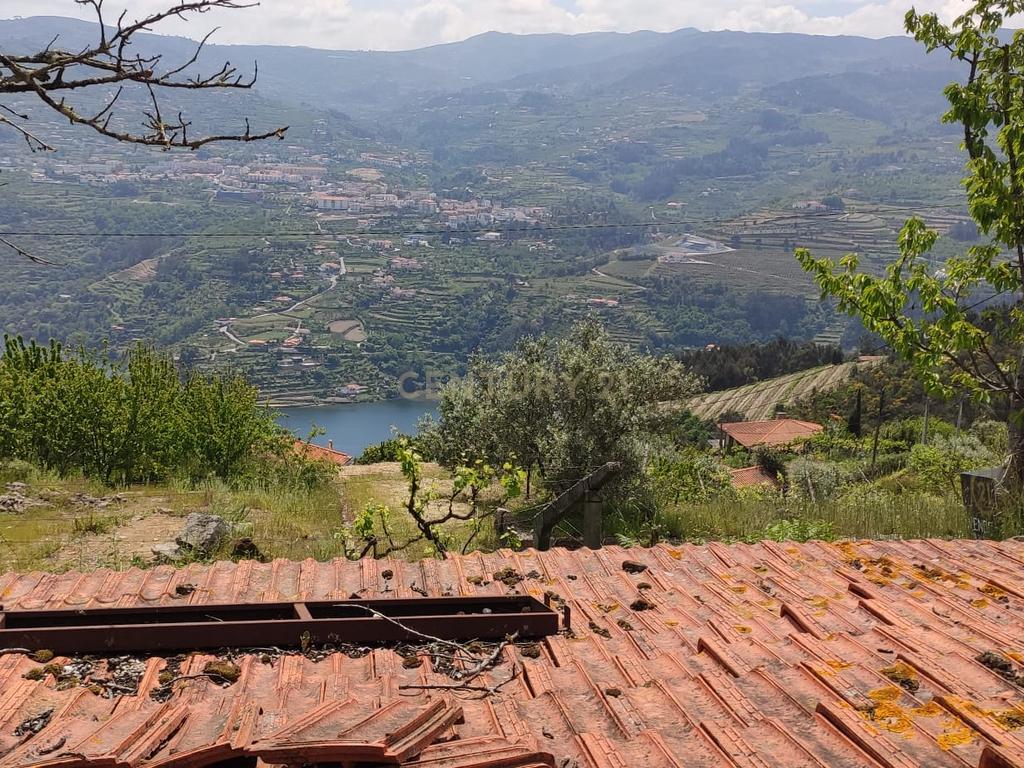 Terreno com casinha e vista para o rio Douro, em S. Tomé de Covelas, Baião para projeto agrícola - Image 61