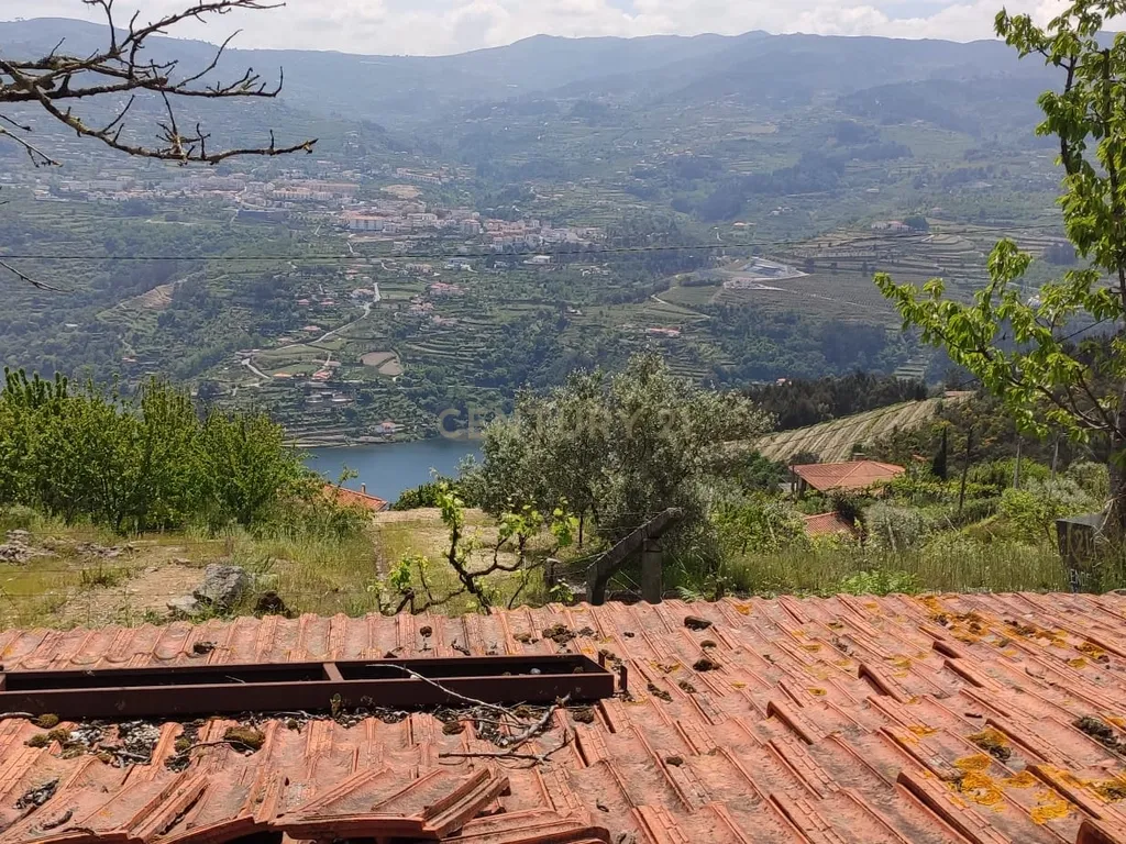 Terreno com casinha e vista para o rio Douro, em S. Tomé de Covelas, Baião para projeto agrícola - Image 61