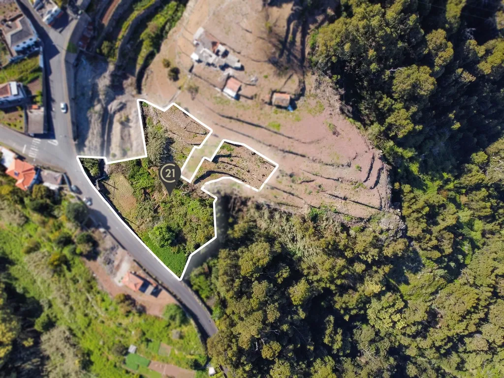 Terreno com Vista Mar e Potencial de Construção em Santa Cruz - Image 13
