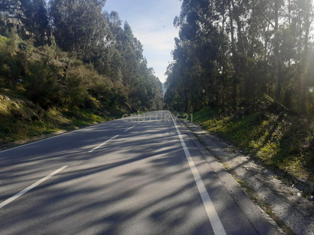 Terreno para construção - Torrão - Marco de Canaveses - Image 36