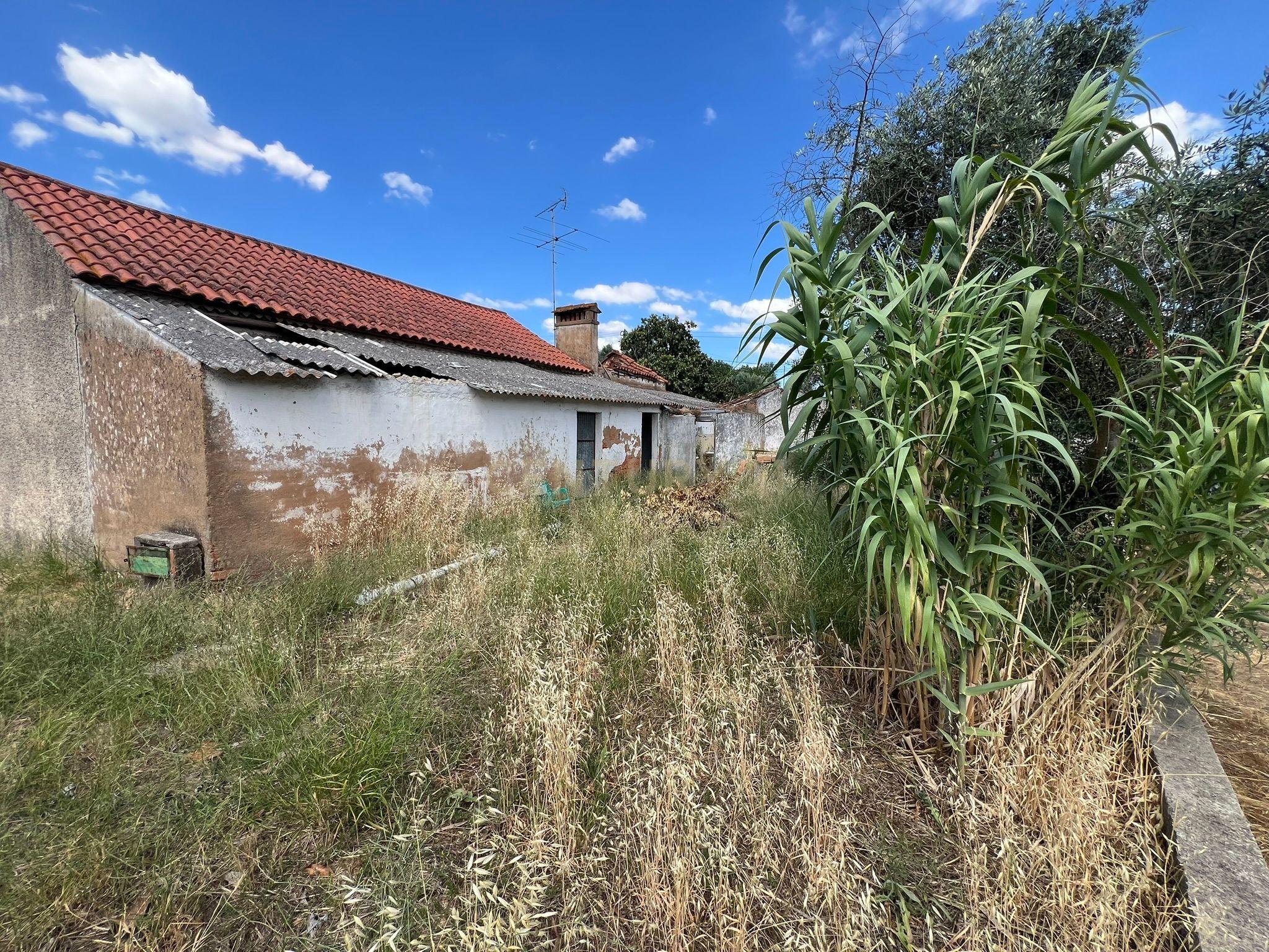Fotografia 11 de Ruina com terreno em Tomar, União das freguesias de Madalena e Beselga