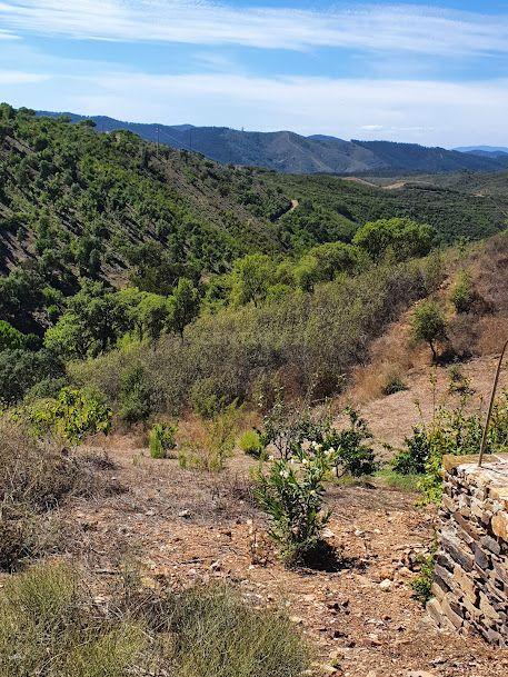 Fotografia 8 de Terreno Rústico em Carapuça - Gonçalo, Guarda com Vista Panorâmica