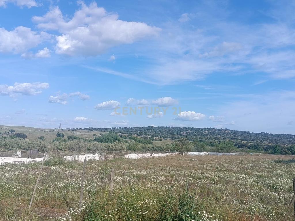 Excelente terreno em Santa Eulália Elvas - Image 6