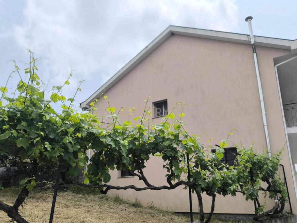 Casas prontas a habitar com terreno, arvores de fruto, forno e água própria. - Image 4