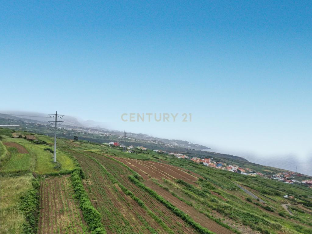 - Image 11