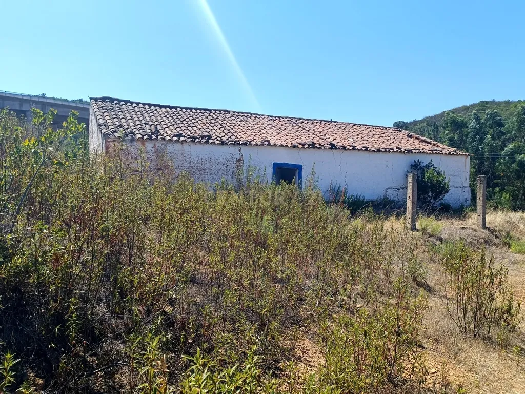 Terreno Misto com 3,66HA - Perna Seca - S. B. Messines - Image 12