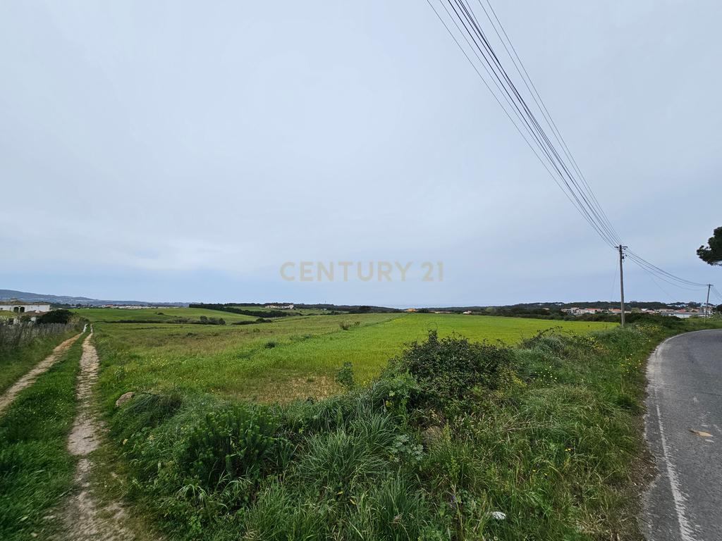 Terreno Rústico | 14160m2 | Sintra | Fontanelas | Av. Nossa Senhora da Esperança - Image 15