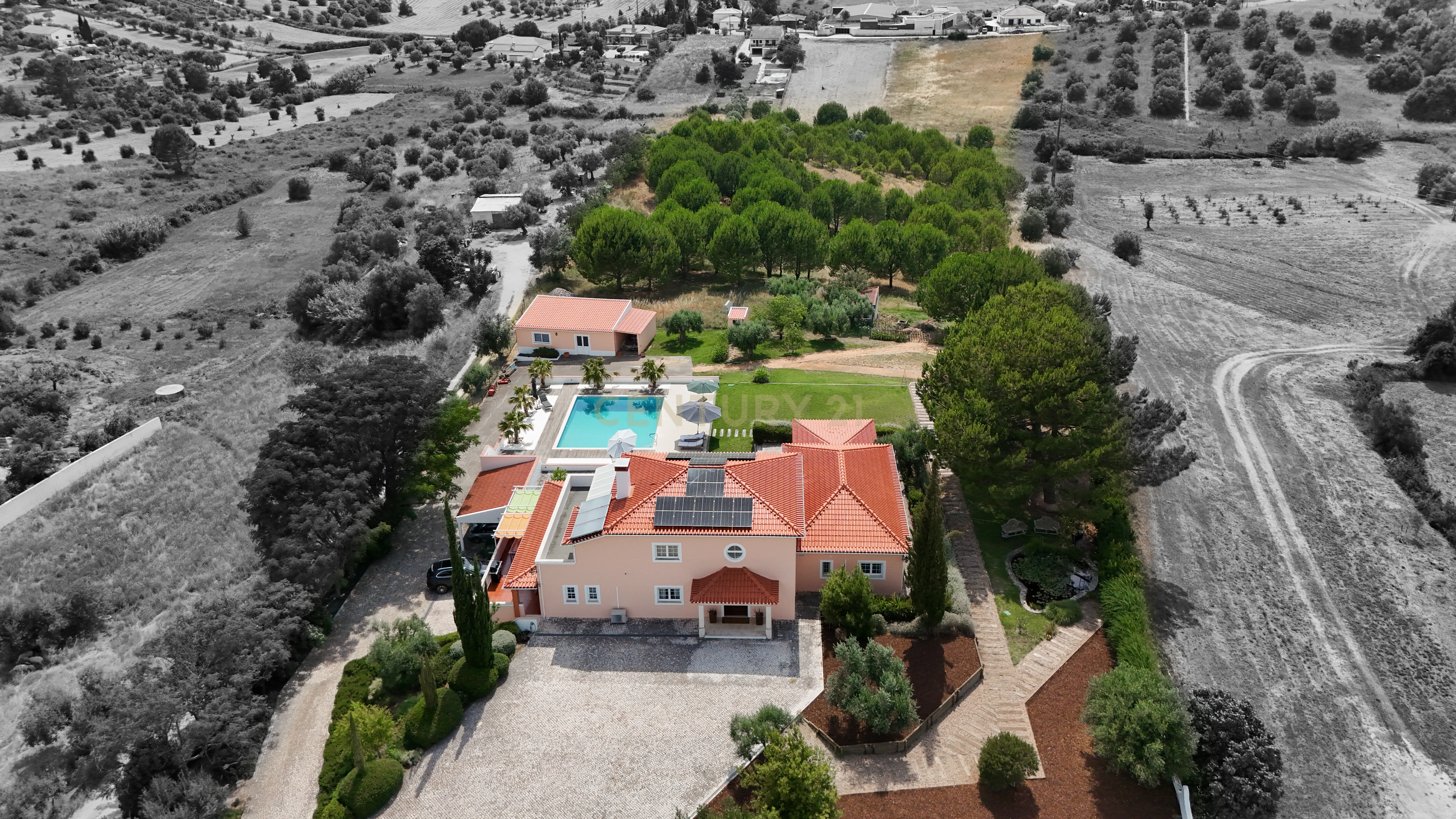 Fotografia 6 de Propriedade Única com Piscina, Lago e Produção de Azeite