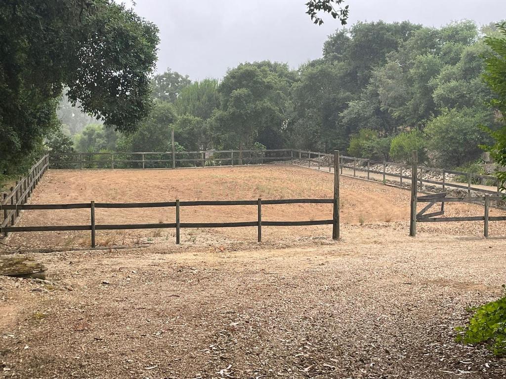 Quinta de Charme - Refúgio de Sonho no Coração do Bombarral - Image 44
