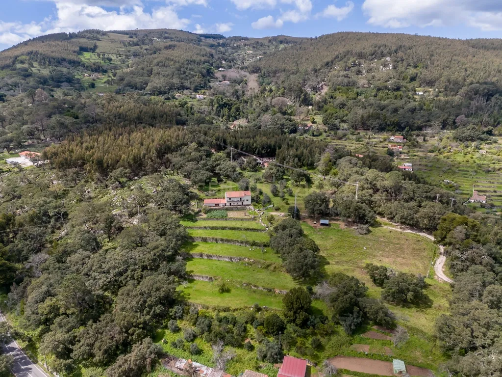 QUINTA COM 2,5 HECTARES EM ZONA CENTRAL DE MONCHIQUE - Image 38
