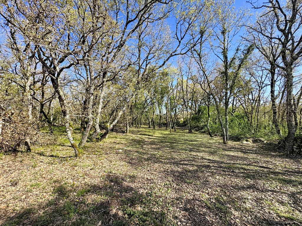 O lugar ideal para construir em plena natureza – Alcobaça - Image 26
