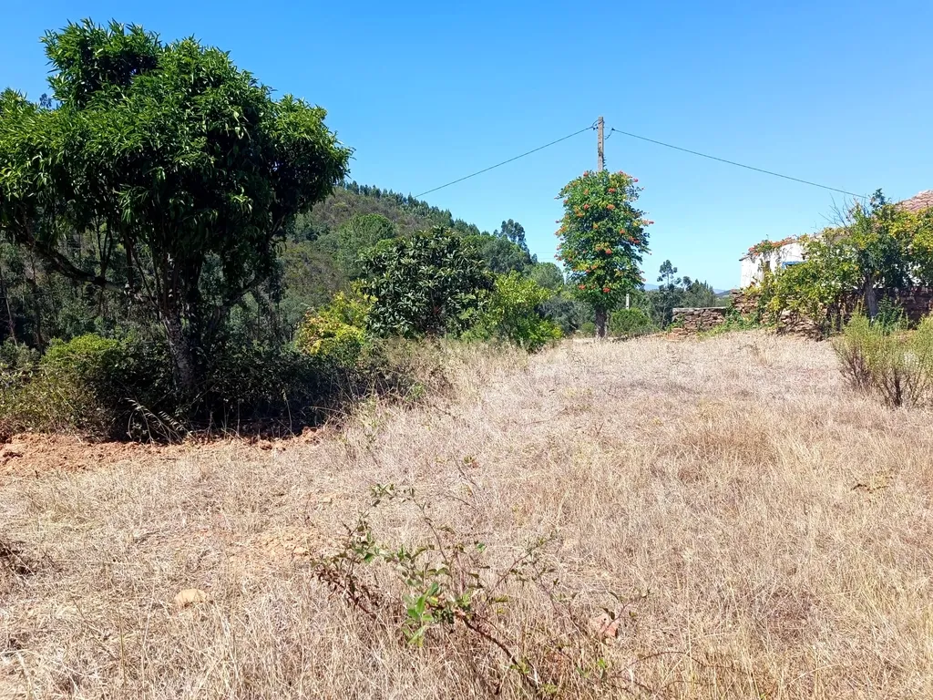 Terreno Misto com 3,66HA - Perna Seca - S. B. Messines - Image 24