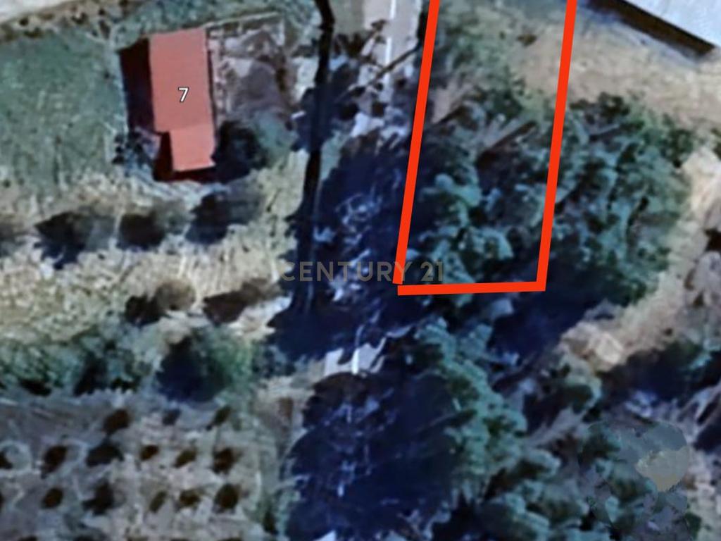 Terreno para Construção em Vale de Gouvinhas - Mirandela - Image 17
