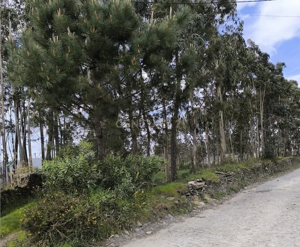 Terreno rústico com 1.750 m², situado em Fão, Esposende - Image 4
