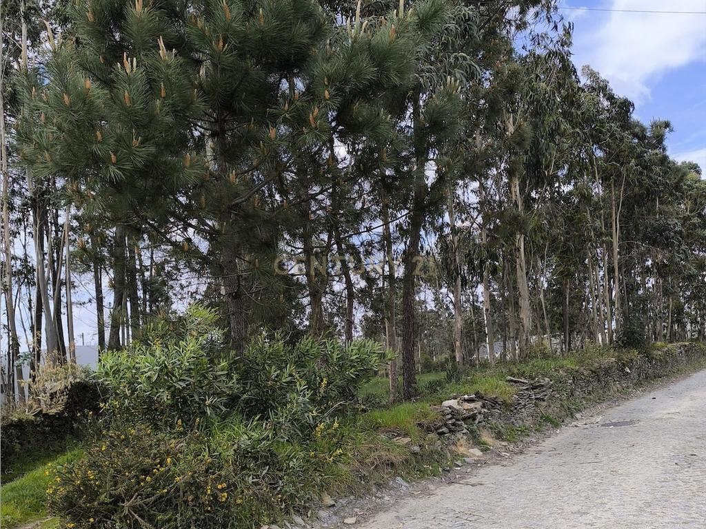 Terreno rústico com 1.750 m², situado em Fão, Esposende - Image 4