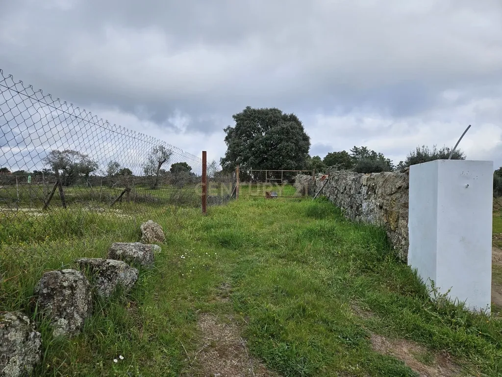 Quintinha na Lousa, Castelo Branco - Image 40