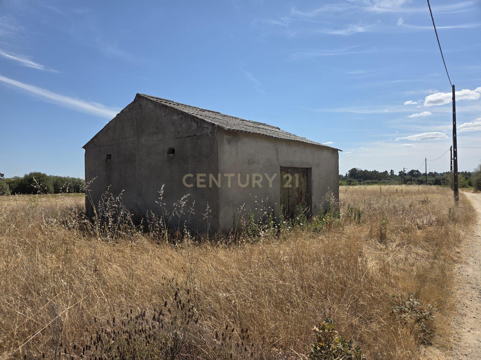 Fotografia 6 de Três Terrenos Rústicos em Venda Conjunta – Alpedrinha, Fundão