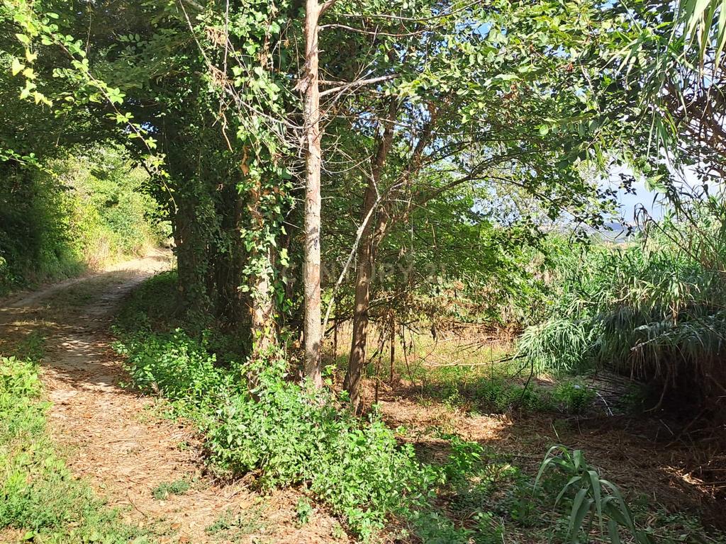 Terreno Agrícola - São João das Lampas - Image 1