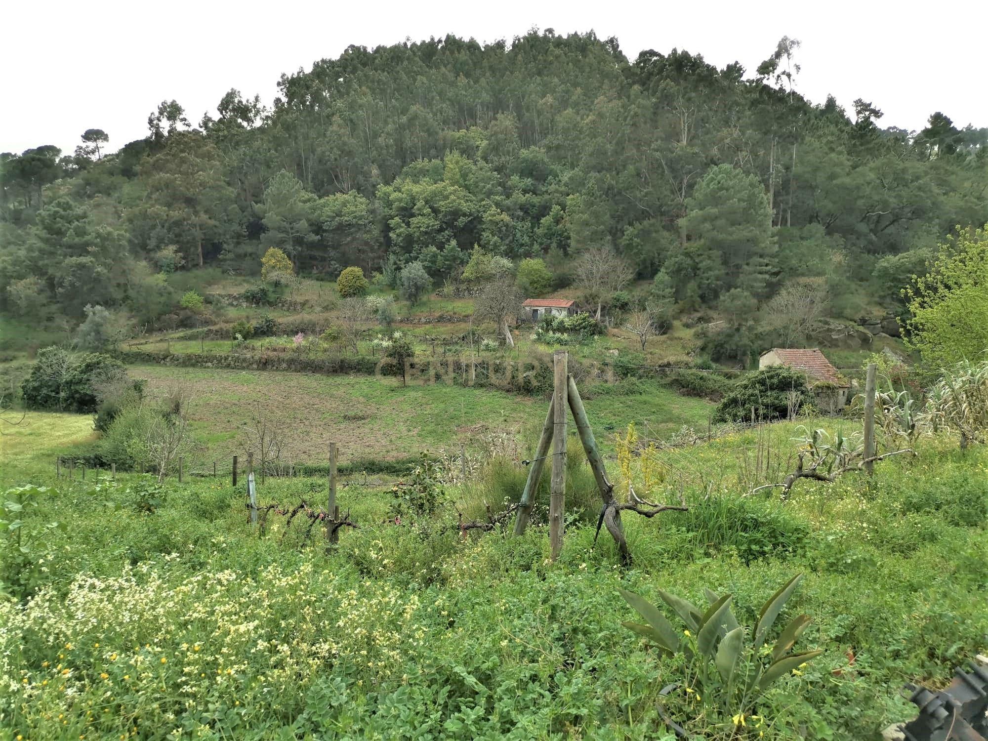 Terreno agrícola com àgua e viabilidade de construção em Granja, S. Tomé de Covelas, Baião, perto do do rio Douro, Porto - Image 19