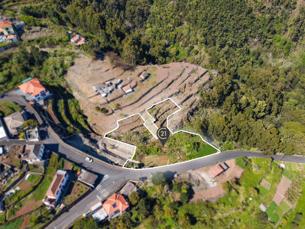 Terreno com Vista Mar e Potencial de Construção em Santa Cruz - Image 9