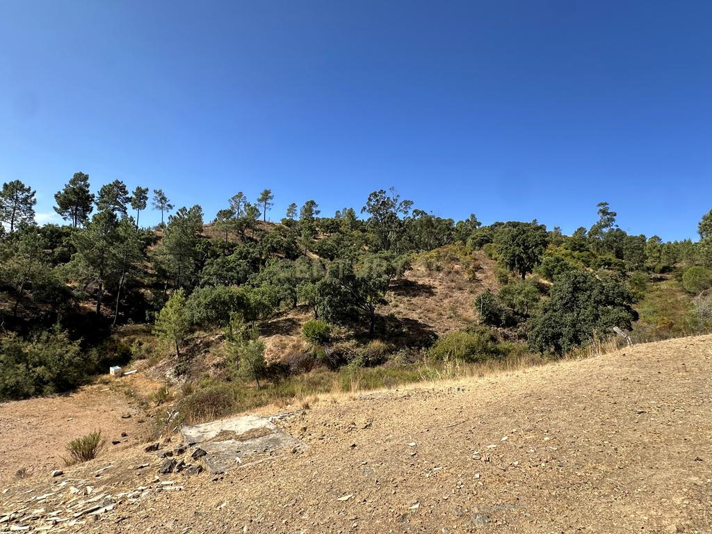Ruína com Terreno ideal para Habitar ou Investir | São Brás de Alportel - Image 16