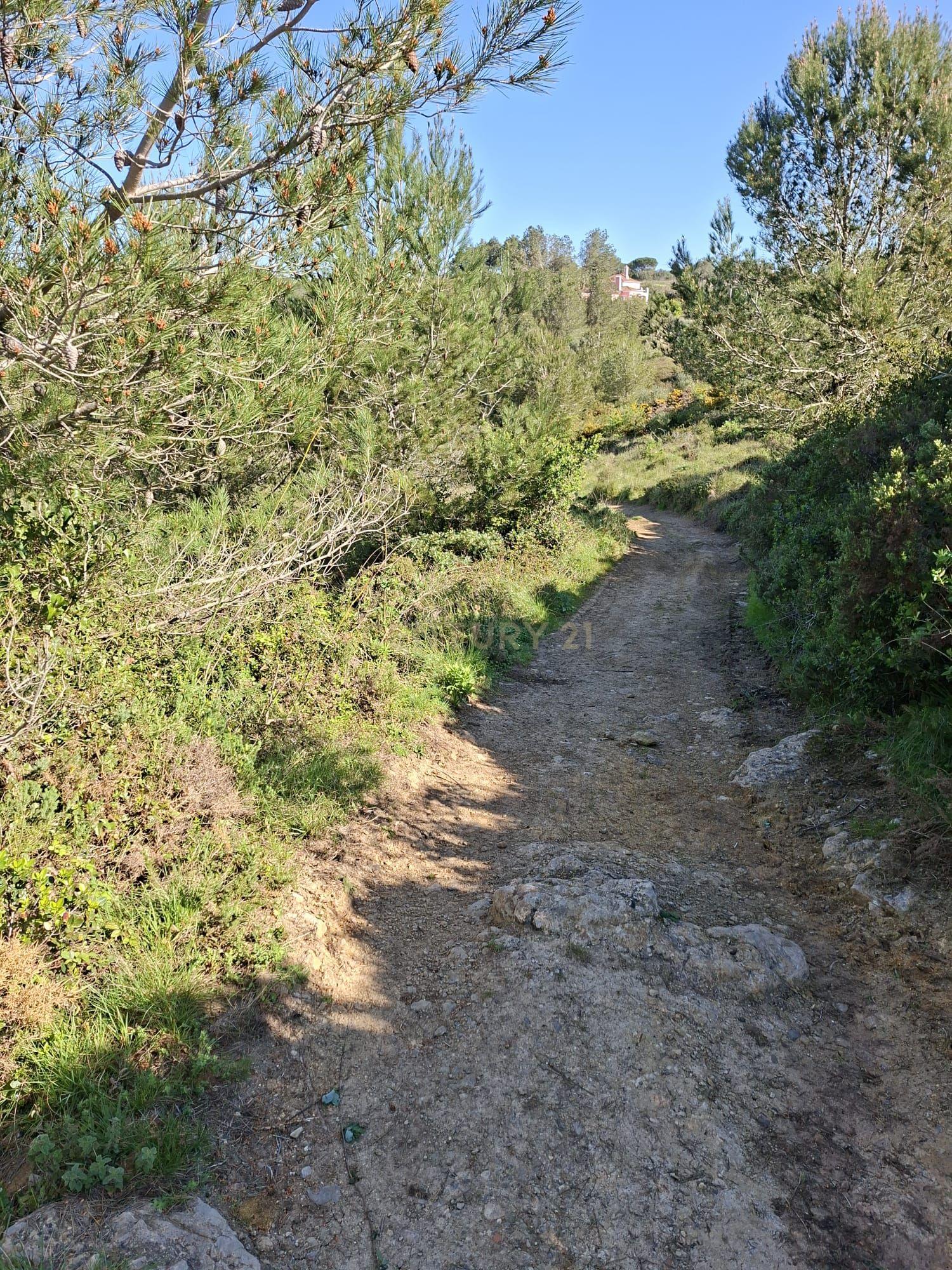 Fotografia 6 de Terreno Agrícola em Nafarros Sintra