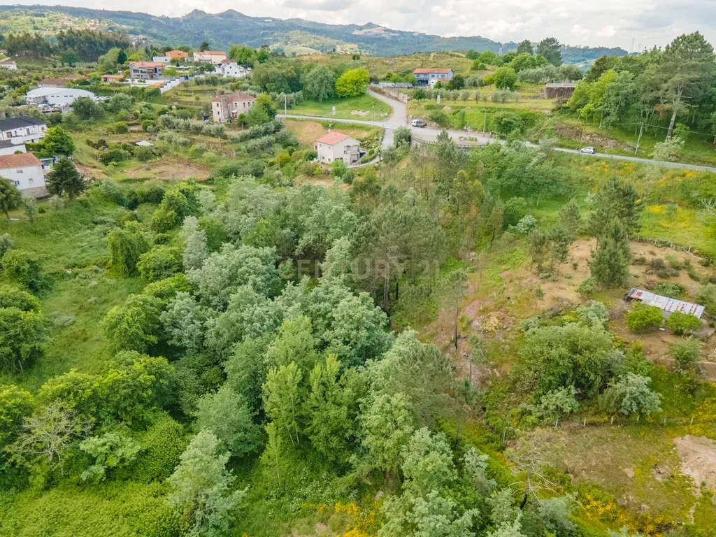 Terreno para Recuperação com Vista Campestre em Marco de Canaveses - Image 7