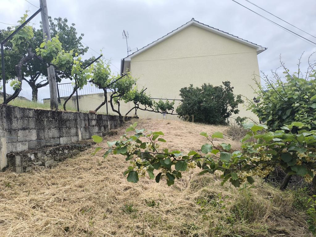 Casas prontas a habitar com terreno, arvores de fruto, forno e água própria. - Image 45