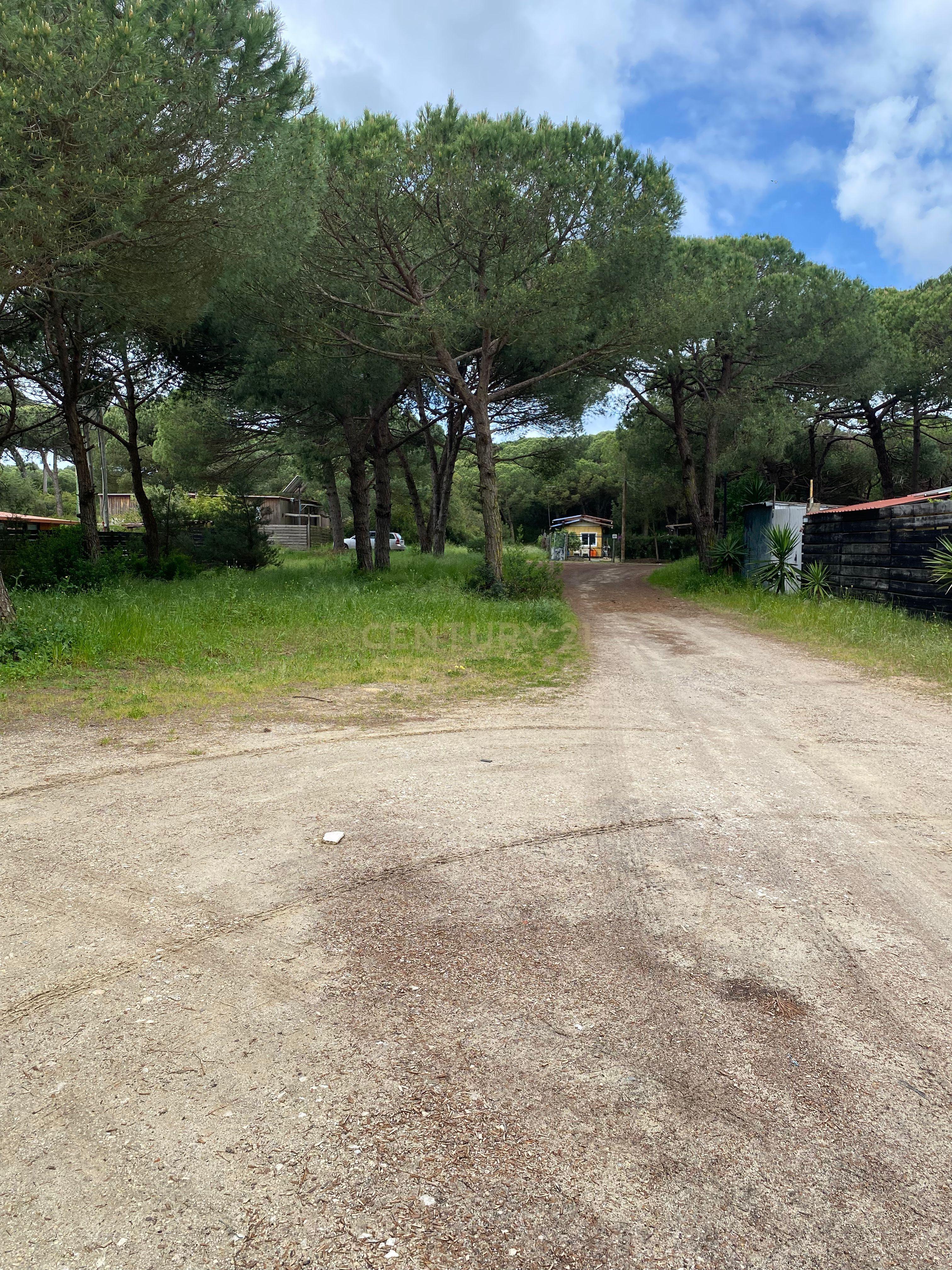 Moradia na Quinta de Zimbral - Charneca de Caparica  - Image 17