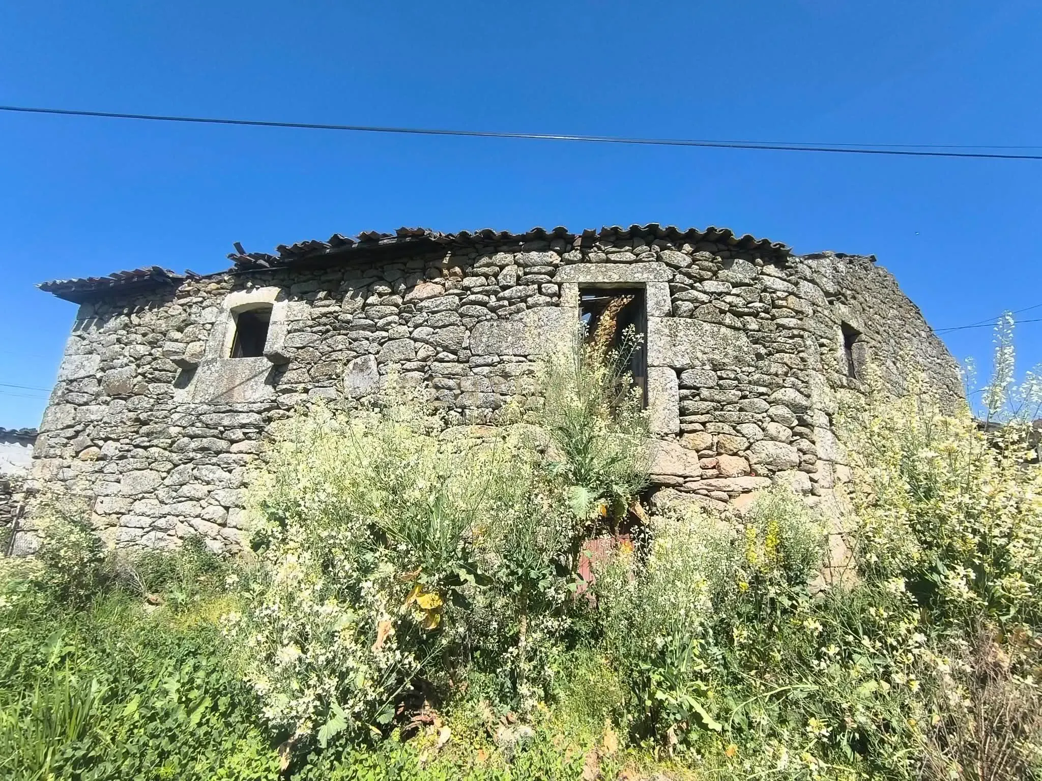 Fotografia 3 de Casa antiga, em pedra de granito, com terreno, poço e árvores de fruto.