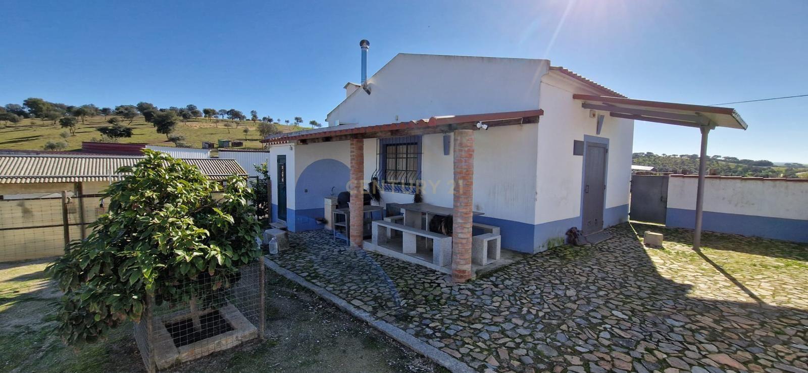Fotografia 5 de Herdade de 62 Hectares no Coração do Alentejo – Évora  - Agricultura - Pecuária - Turismo Rural - Painéis Solares