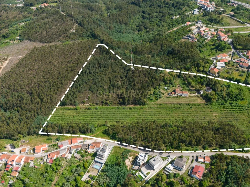 Quinta com 8 hectares com potencial para construção – Antanhol - Coimbra - Image 7