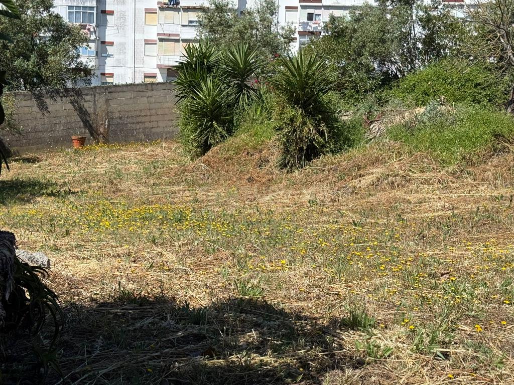 Moradias inseridas em terreno de 2400 m2 - Image 11