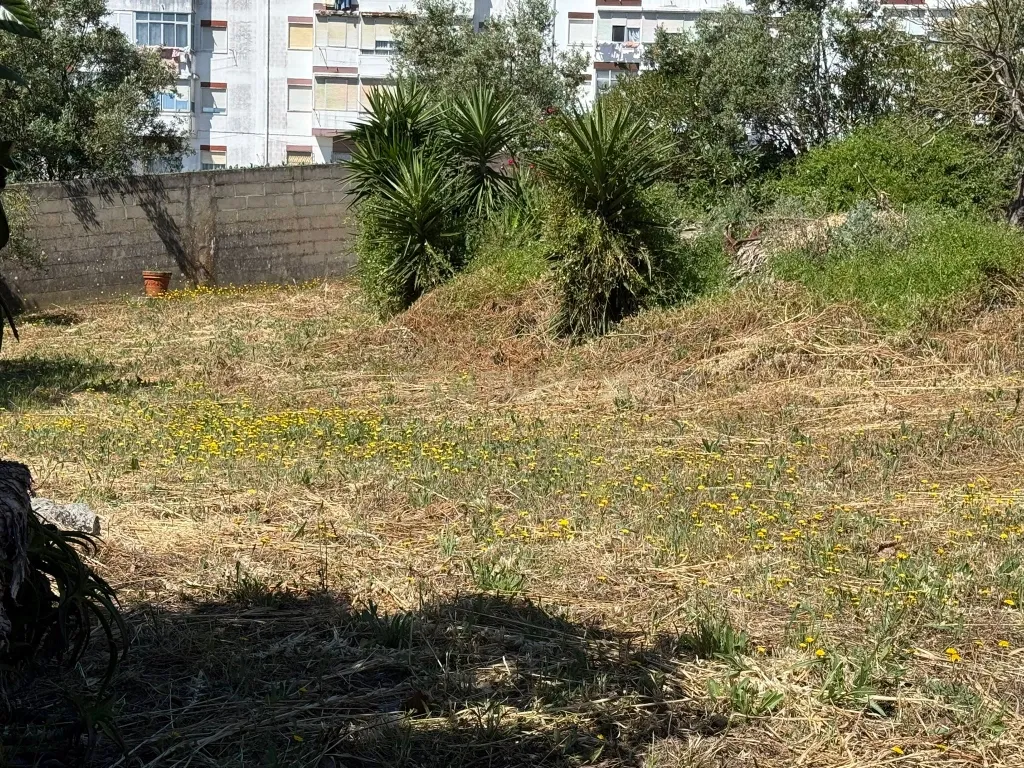 Moradias inseridas em terreno de 2400 m2 - Image 11