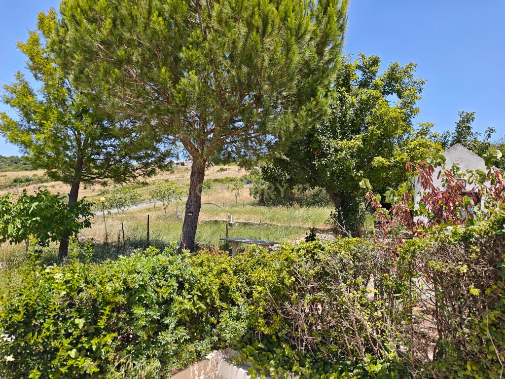 Moradia T4 em Quinta de 1950 com piscina e terra fértil - Image 20