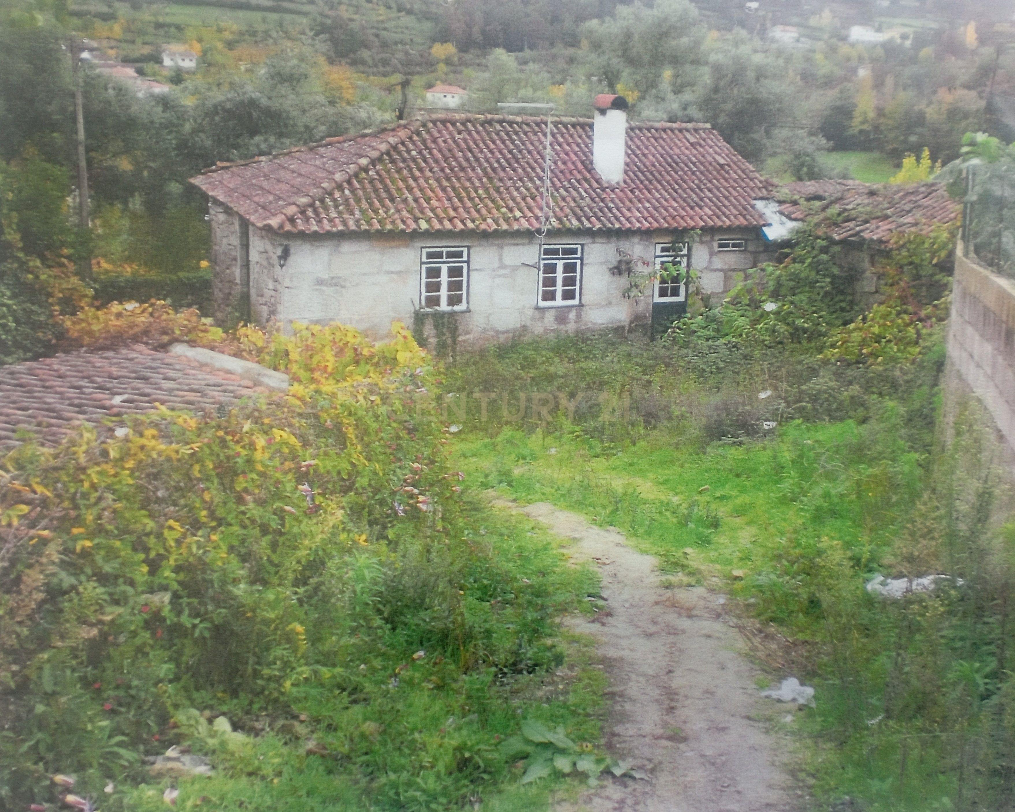 Moradia antiga em pedra em Ribeira de Pena - Image 1