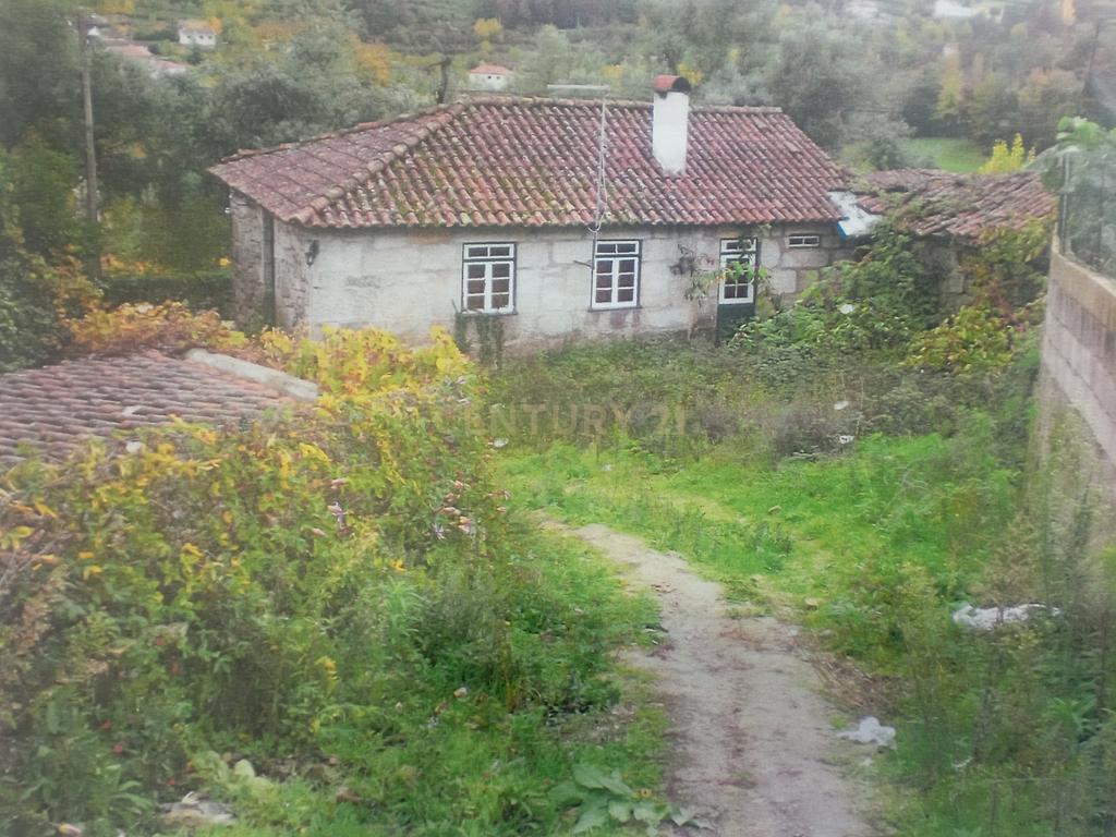 Moradia antiga em pedra em Ribeira de Pena - Image 1