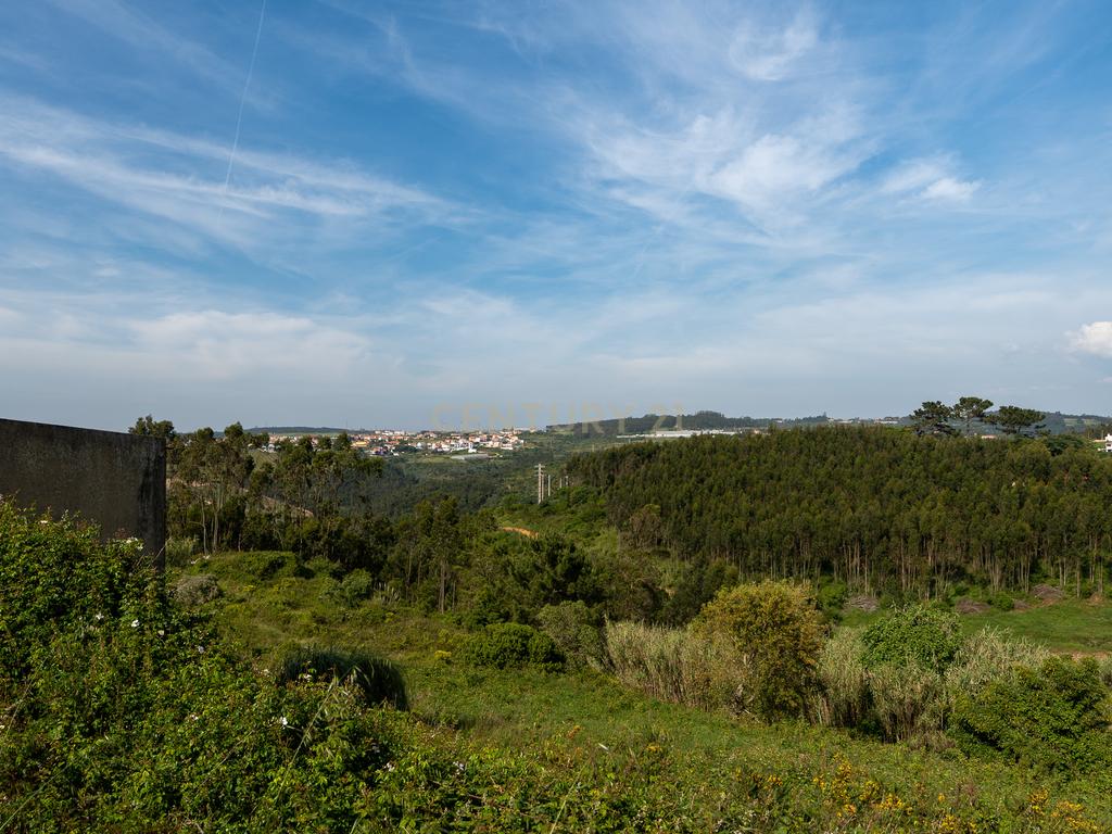 Terreno Rústico com mais de 1.5 Hectares em Mafra – Vista Linda e Perto da Ericeira! - Image 2