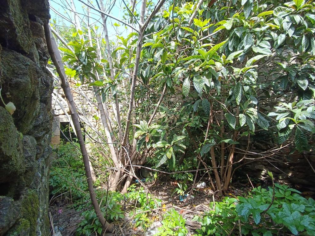 Ruina para recuperação, Alcains, Castelo Branco - Image 5