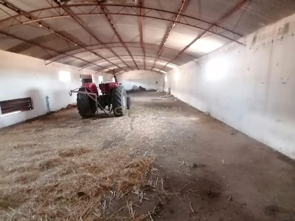 Beja, 2040,150 m2 de Armazéns Diversos instalados em 7190,690 m2 de terrenos Urbanos e ainda 2,5 hectares de terrenos Rústicos - Image 15