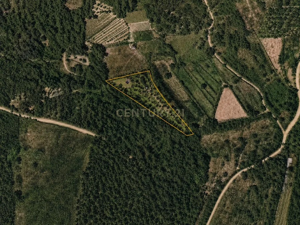 Terreno com lago na Serra da Lousã - Image 6