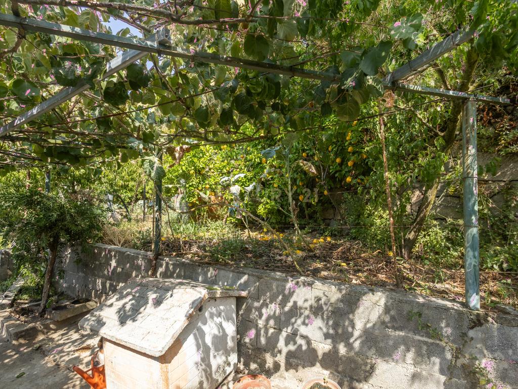 MORADIA PARA RENOVAR EM SEQUEIROS, ANCEDE - Image 8